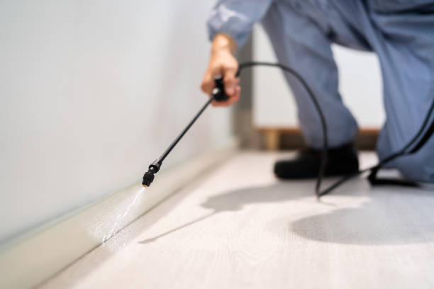 Licensed Exterminator service in North Little Rock, AR - Show Me Pest Control