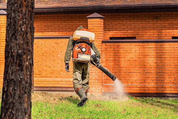 Top rated local Mosquito Control specialists in North Little Rock, AR